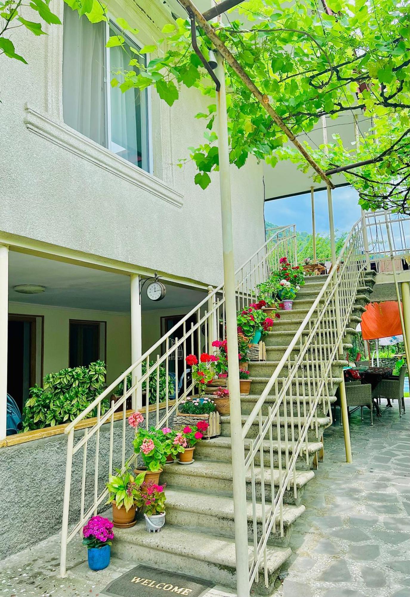Home Inn-Guesthouse Lagodekhi Exterior foto